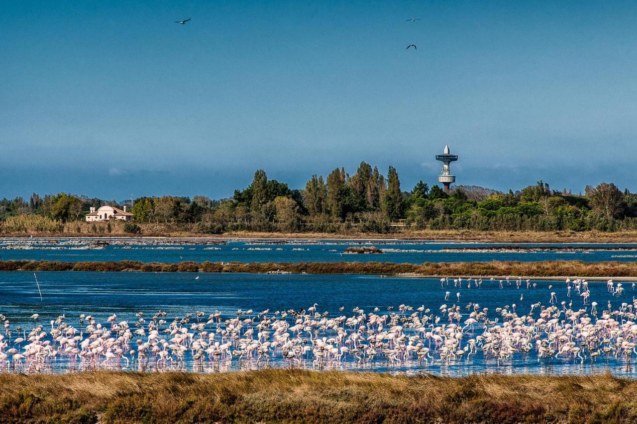 Villa Gloria Appartamento E01 Rosolina Mare Eksteriør bilde